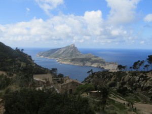 IMG_5049 (Medium)